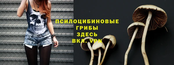 МДПВ Армянск
