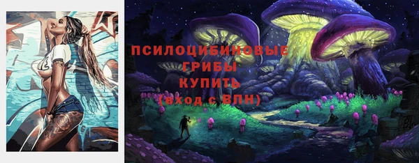 сатива Арсеньев