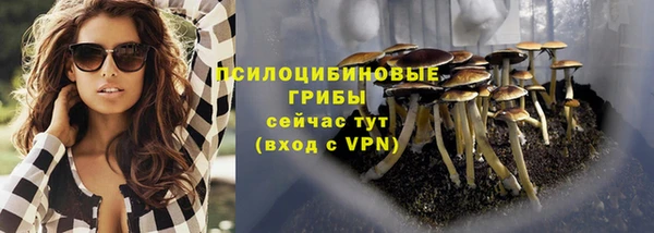 МДПВ Армянск