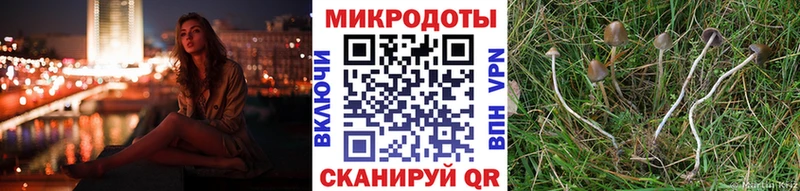 Псилоцибиновые грибы Cubensis  Сосновка 